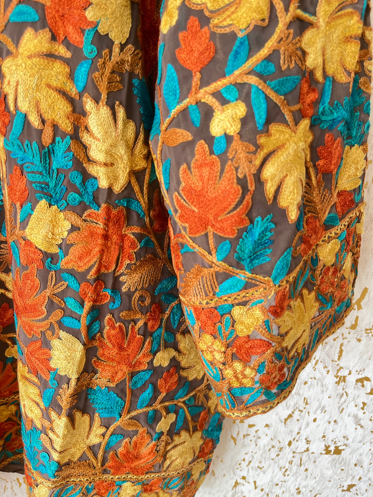 Coffee Georgette Jaal Work (Front & Back) Aari Embroidered Stitch