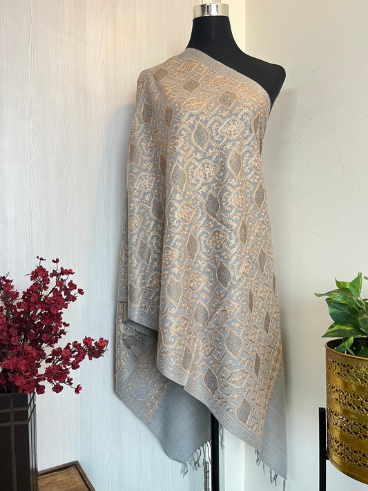 Light Grey Semi Pashmina Silk thread and Swarovski work stole